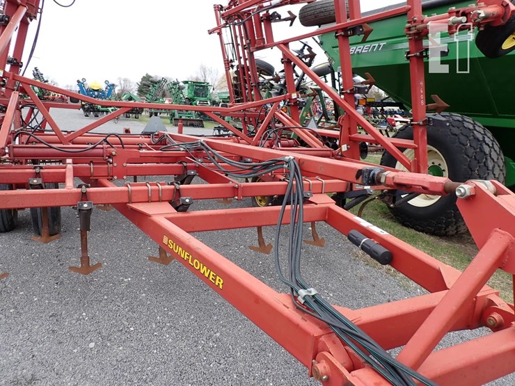 sunflower-5035-30-image-4