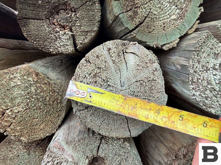 12'-pressure-treated-trellis-posts-image-8