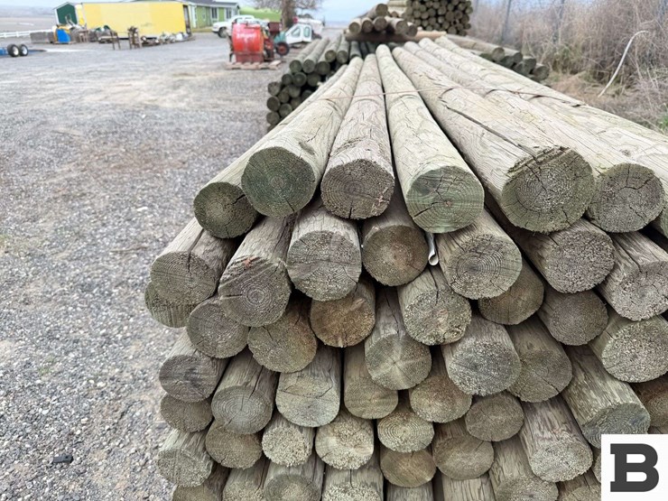 10'-pressure-treated-trellis-posts-image-4