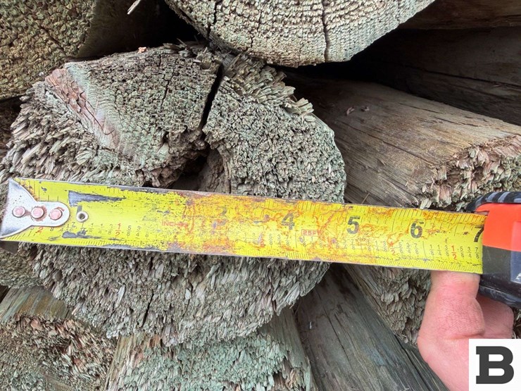 12'-pressure-treated-trellis-posts-image-9