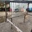 #3049-•-steel-ladder-rack-image-10