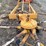 girorami-g220bl-rotary-orchard-rake-image-5