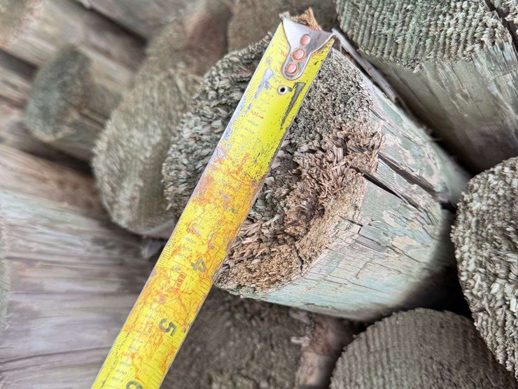 12'-pressure-treated-trellis-posts-image-8