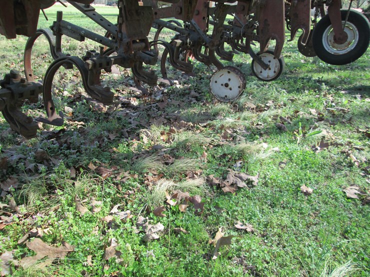 international-8-image-12