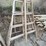 7'-wooden-orchard-ladders-image-8