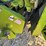 claas-jaguar-970-image-39