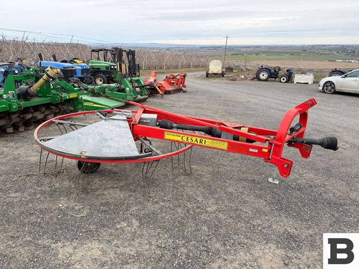 cesari-rc200-rotary-brush-rake-image-6