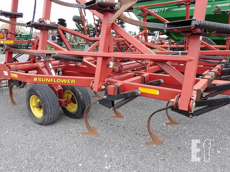 sunflower-5035-30-image-6