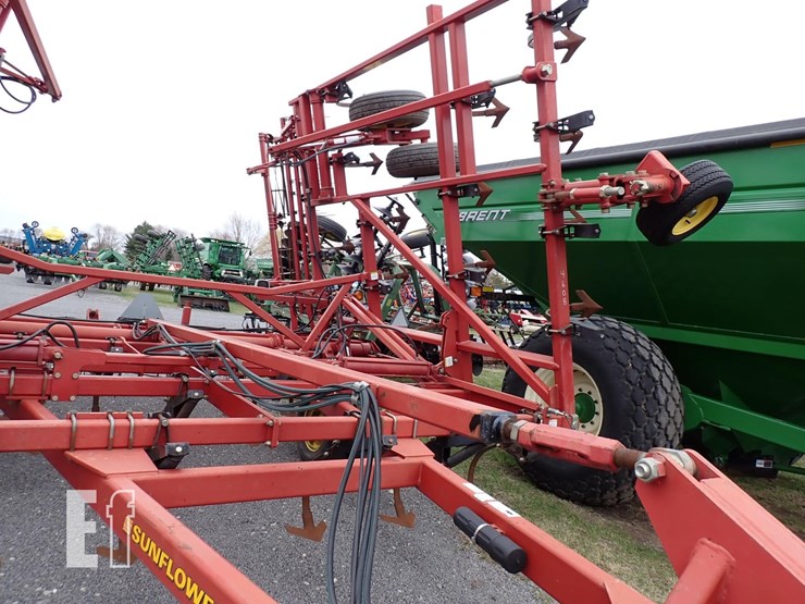 sunflower-5035-30-image-5