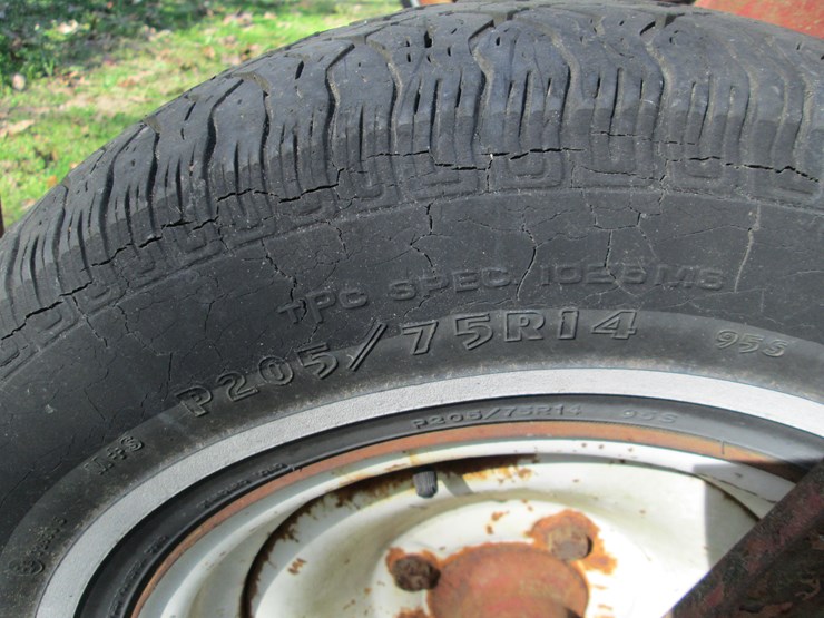 international-8-image-8