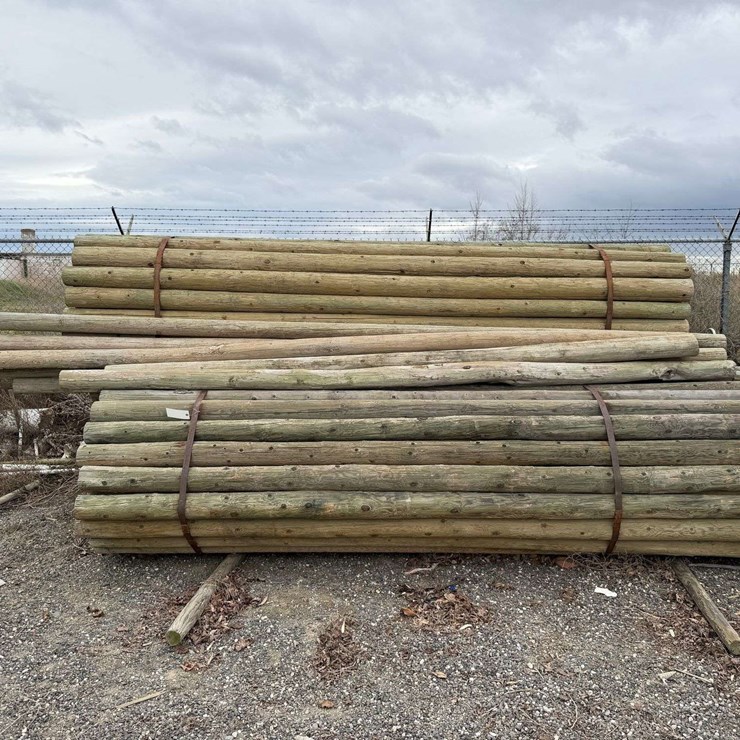 12' Pressure Treated Trellis Posts