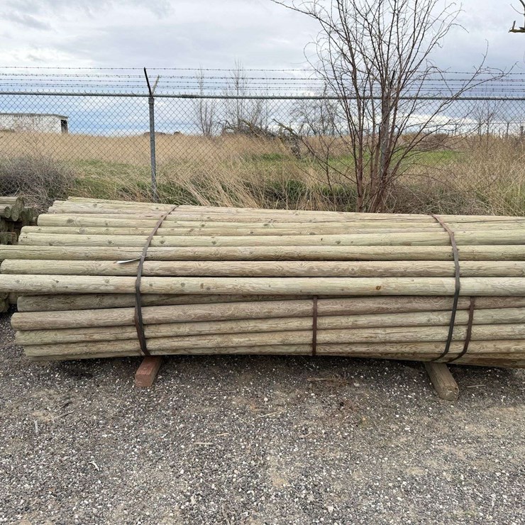 10' Pressure Treated Trellis Posts