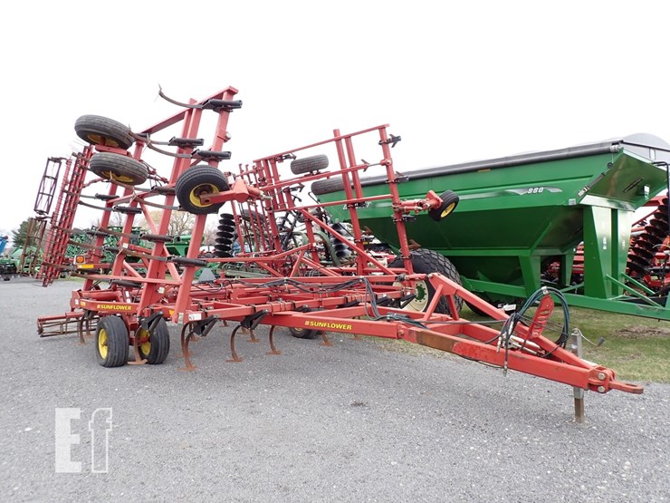 sunflower-5035-30-image-2