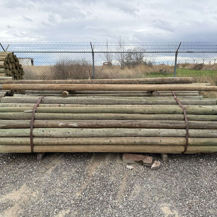 12' Pressure Treated Trellis Posts