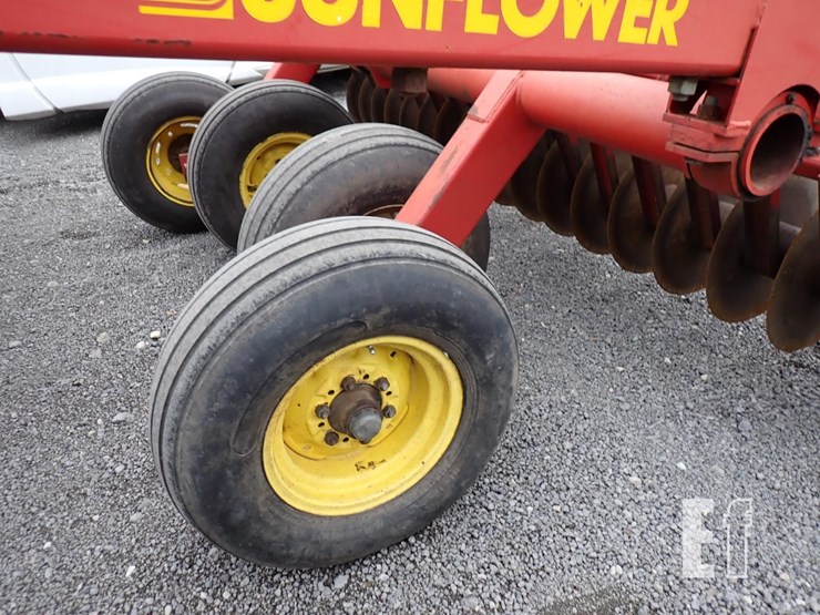 sunflower-4212-image-10