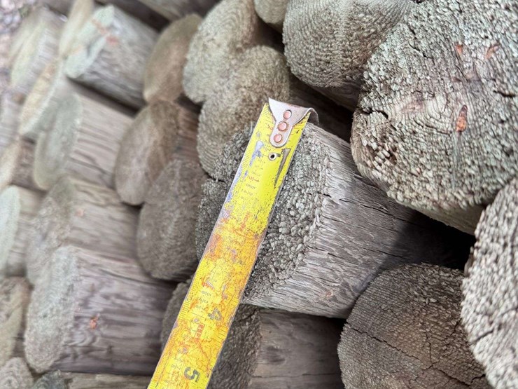 10'-pressure-treated-trellis-posts-image-6