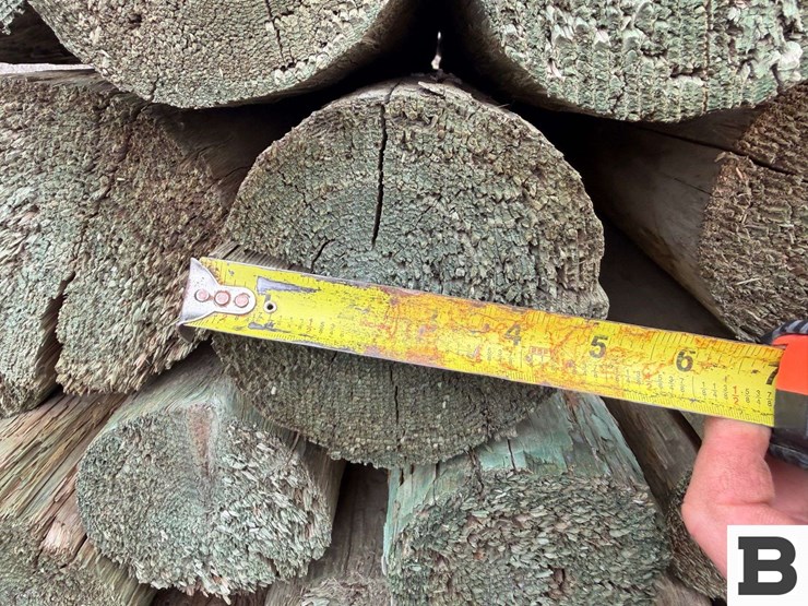 12'-pressure-treated-trellis-posts-image-10