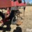 case-ih-4800-image-20