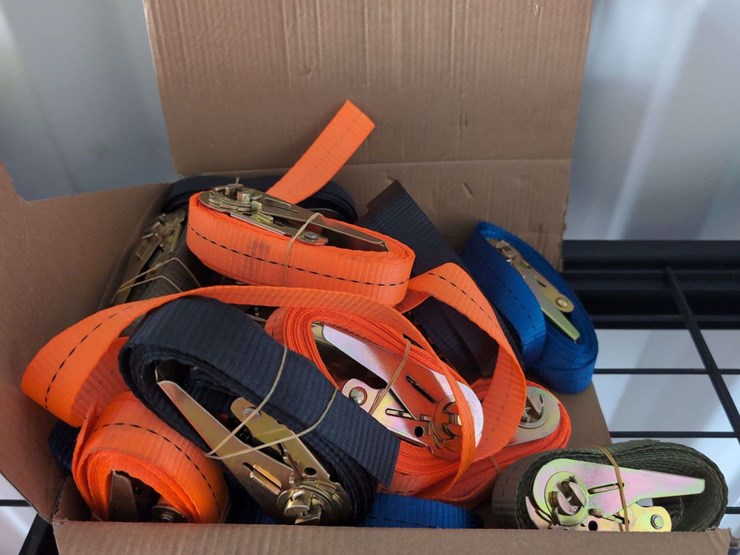 (20-pcs)-sdlanch-rachet-tie-down---3.5m-image-2