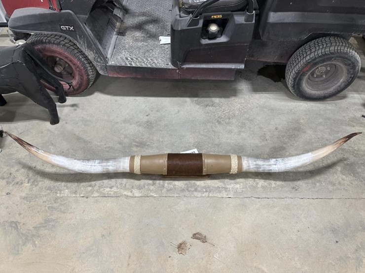 #123-•-7'-longhorns-image-1