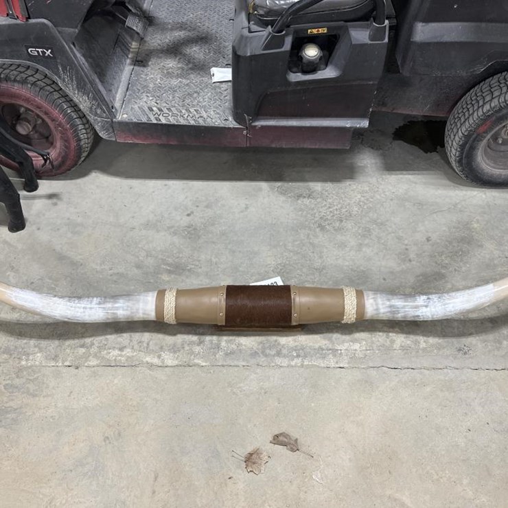 #123 • 7' LONGHORNS