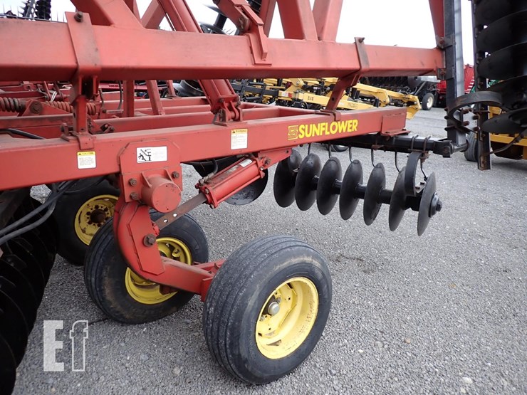 sunflower-1433-25-image-5