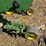 john-deere-1720-image-48