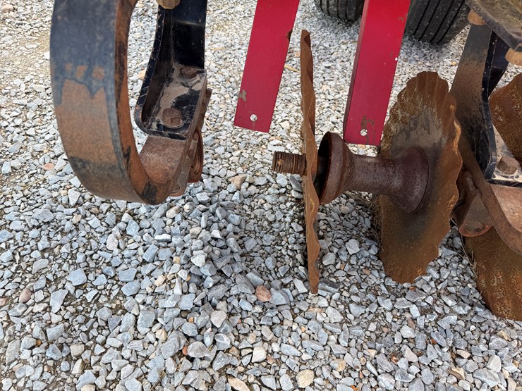 sunflower-6630-30-image-62