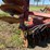 case-ih-3900dh-image-33