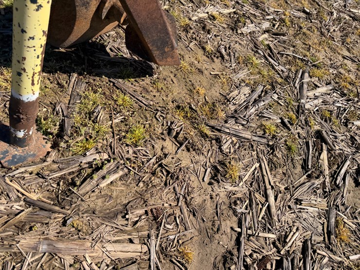 #42470-•-water-furrow-plow-image-6