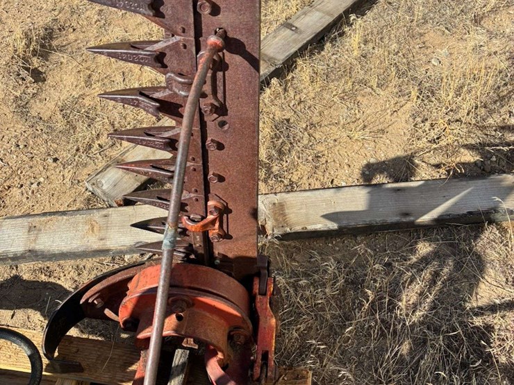 international-230-image-6