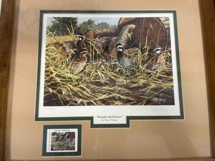 3-framed-quail-prints-image-2