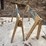 wood-saw-horses-image-2