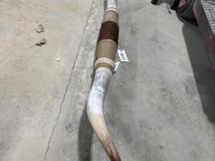 #123-•-7'-longhorns-image-3