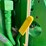 2021-john-deere-7r-350-image-13