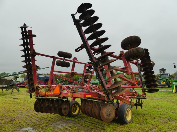 sunflower-1234-image-4