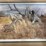 3-framed-quail-prints-image-3