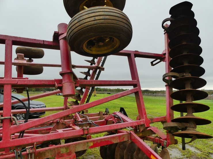 sunflower-1234-image-8