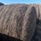 #1074-•-(78)-round-bales-of-1st-and-2nd-crop-grass/alfalfa-(independence,-wi)-image-4