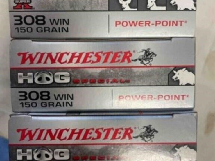 winchester-.308-ammo-image-1