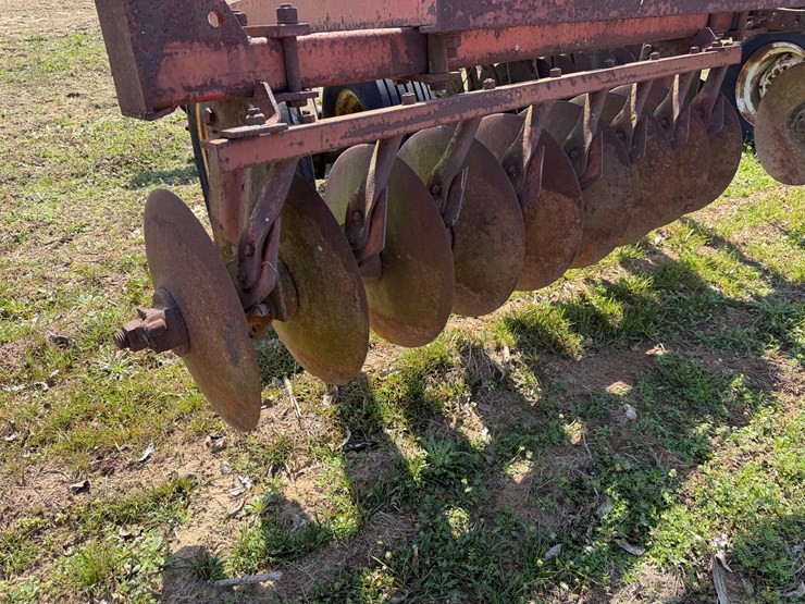 international-475-image-5