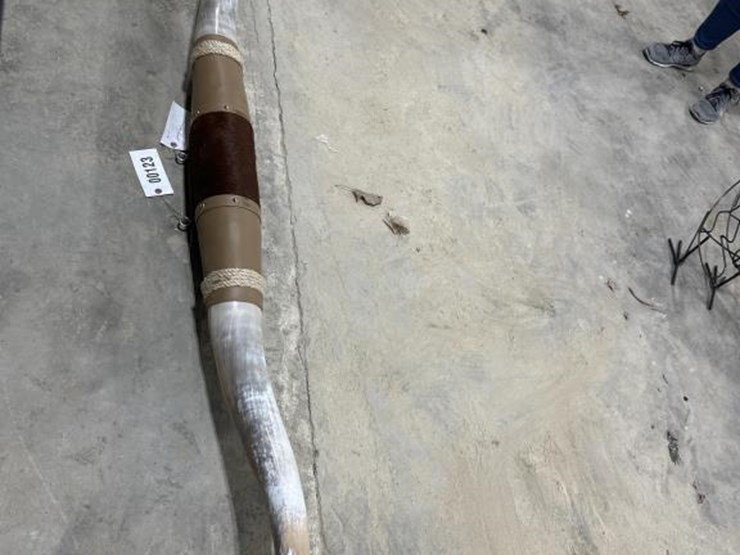 #123-•-7'-longhorns-image-2