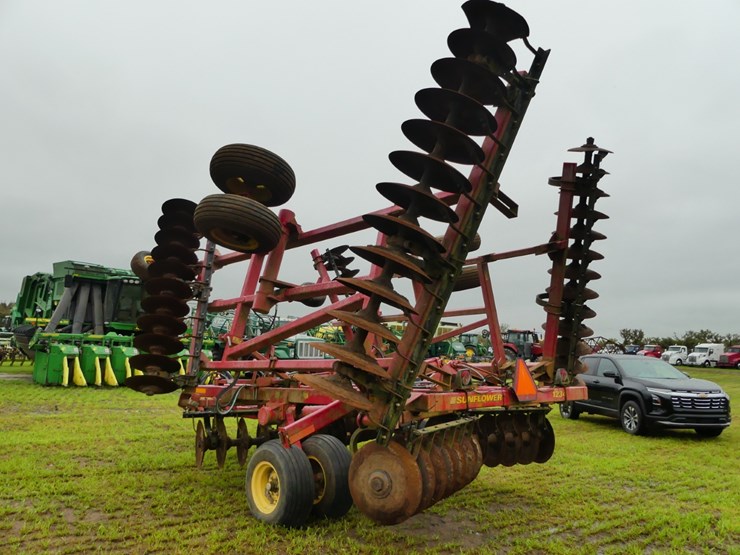 sunflower-1234-image-3