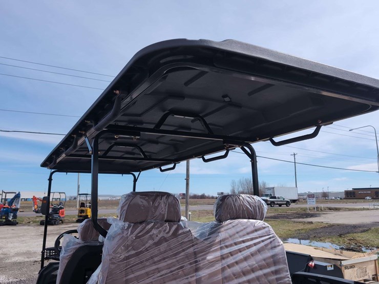 sdlgc100---6-seater-golf-cart-assembled---blue-image-7