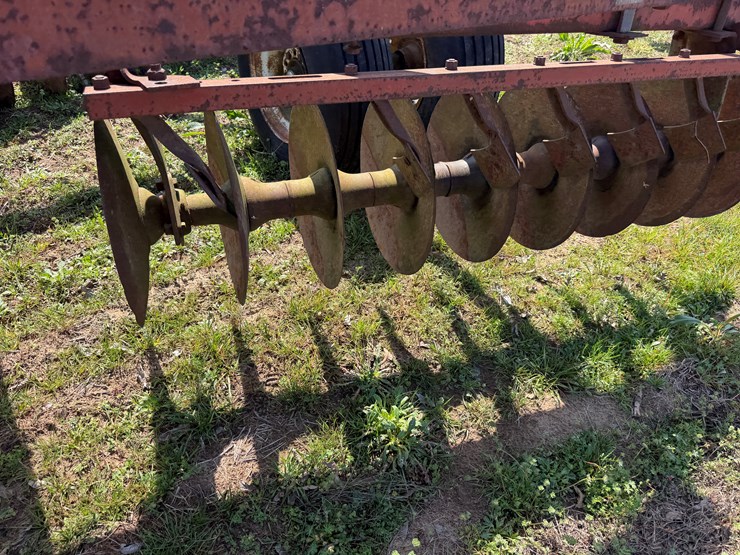 international-475-image-8