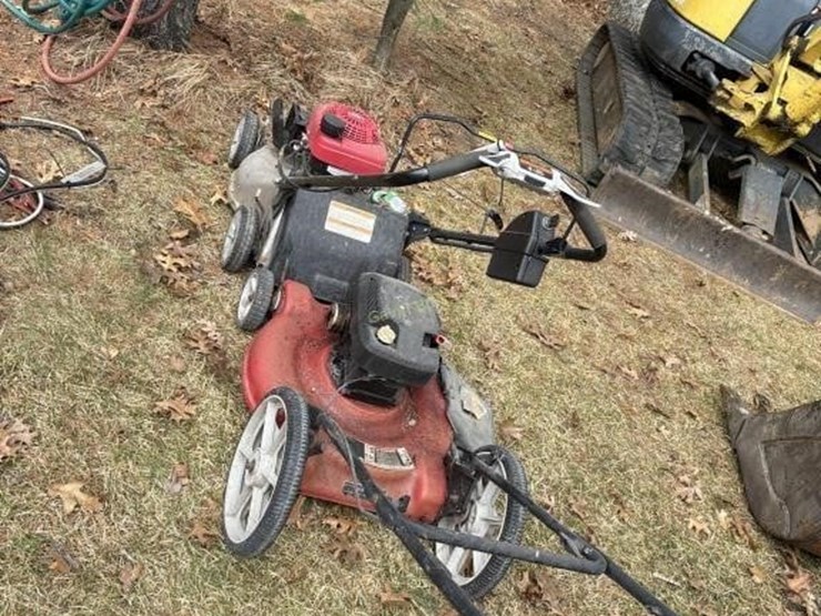 (2)-push-mowers-image-1