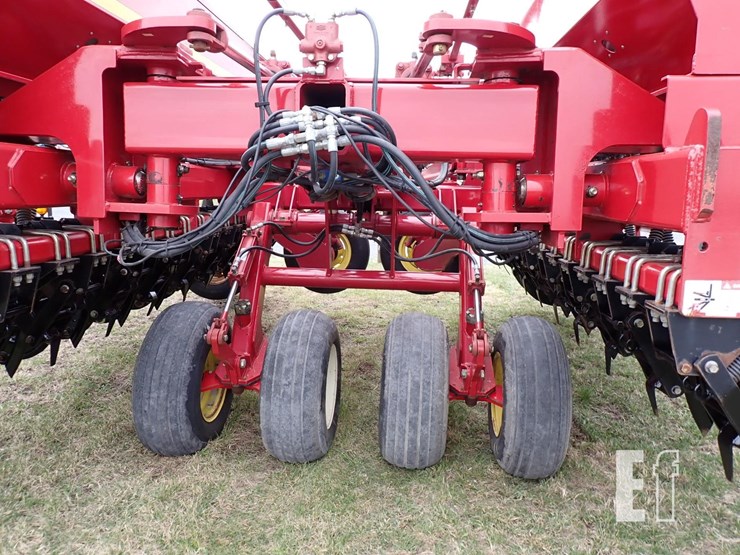 sunflower-9421-25-image-9