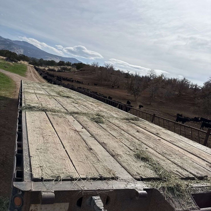 2000 FRUEHAUF Trailer