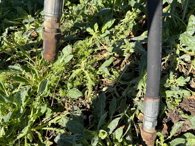 #42473-•-levee-squeeze-w/seeder-109-image-34