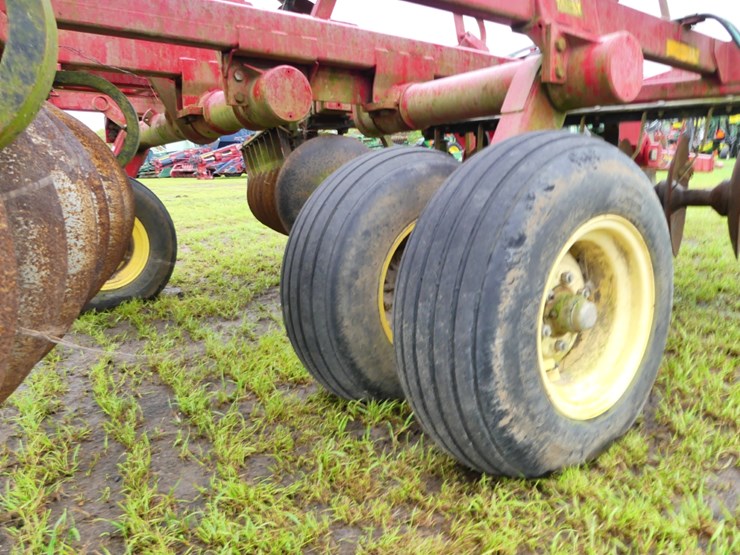 sunflower-1234-image-6